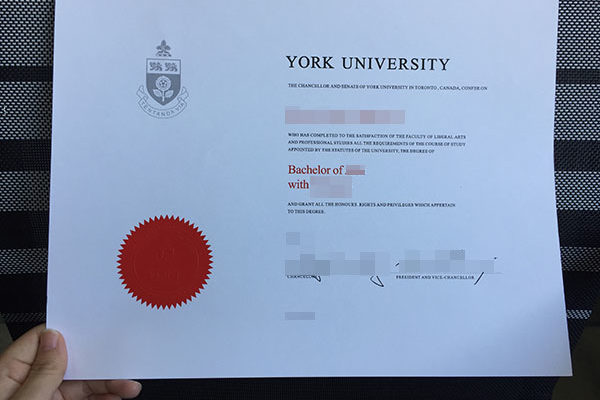 York University fake diploma Finding The Prefect York University fake diploma Is Like a Roller Coaster Ride York University 600x400