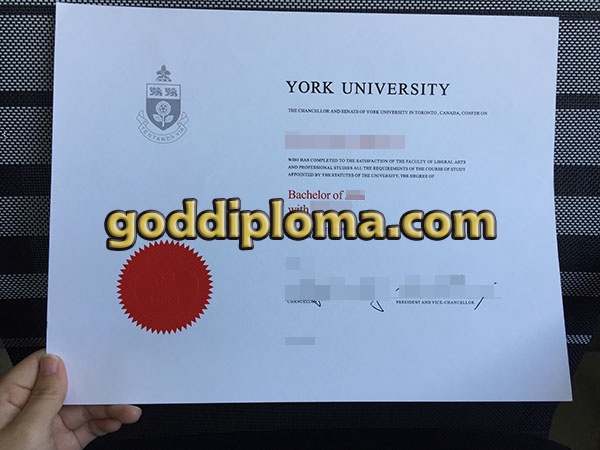 York University fake diploma York University fake diploma Finding The Prefect York University fake diploma Is Like a Roller Coaster Ride York University