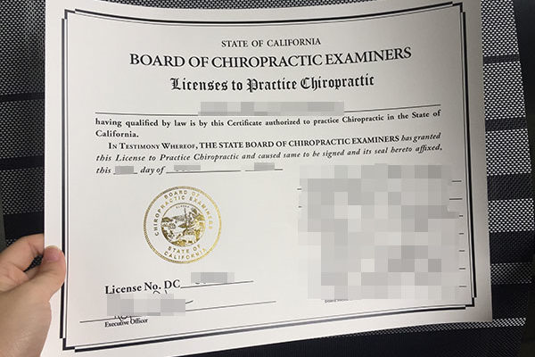 The State Board of Chiropractic Examiners fake diploma A Guide To The State Board of Chiropractic Examiners fake diploma The State Board of Chiropractic Examiners 600x400