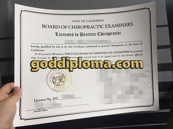 The State Board of Chiropractic Examiners fake diploma The State Board of Chiropractic Examiners fake diploma A Guide To The State Board of Chiropractic Examiners fake diploma The State Board of Chiropractic Examiners