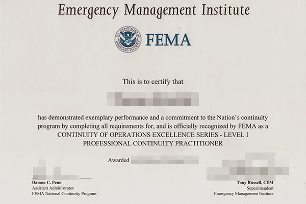 EMI fake diploma EMI fake diploma: Expectations vs. Reality Emergency Management Institute 600x400