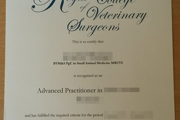 RCVS fake diploma Why We Love RCVS fake diploma (And You Should, Too!) Royal College of Veterinary Surgeons 600x400