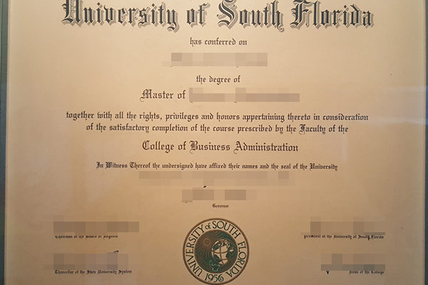 University of South Florida fake degree Do You Need A University of South Florida fake degree? University of South Florida 600x400