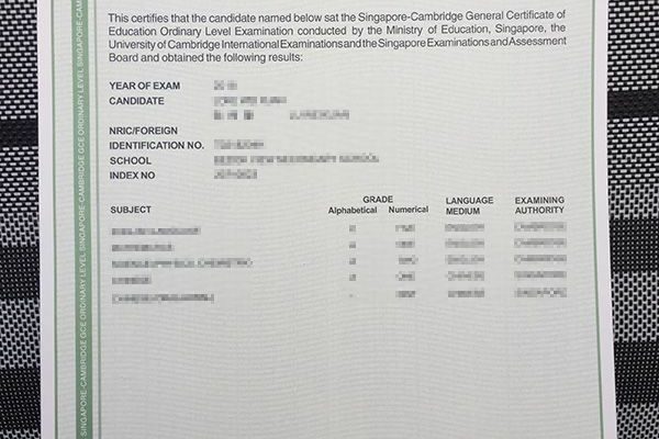 O-level fake degree O-level fake degree Awards: 6 Reasons Why They Don’t Work &#038; What You Can Do About It Singapore Cambridge GCE Ordinary Level 600x400
