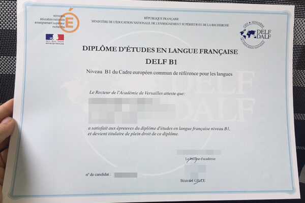 DELF DALF fake certificate Need More Time? Read These Tips To Eliminate DELF DALF fake certificate DELF DALF 600x400